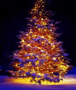 Weihnachtsbaum