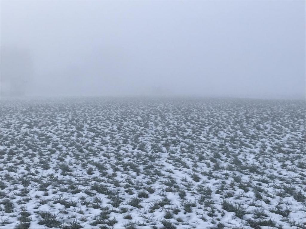 Nebel