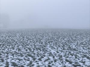 Nebel