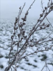 Ein Sonntag im Winter