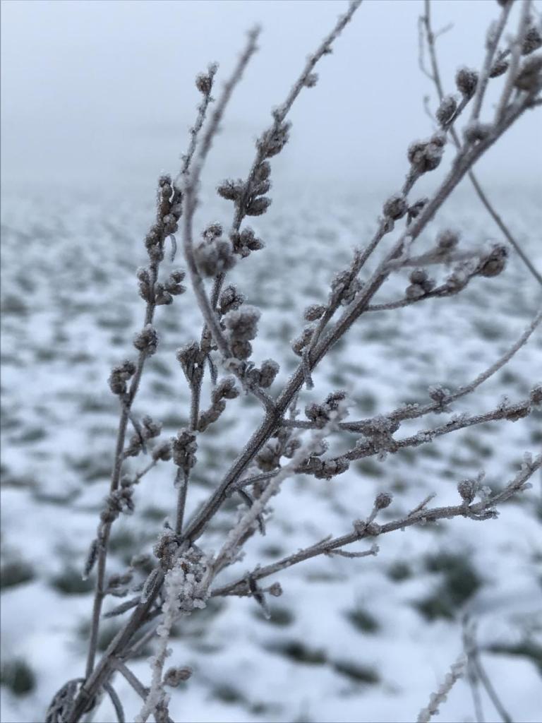 Ein Sonntag im Winter