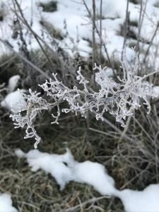 Ein Sonntag im Winter