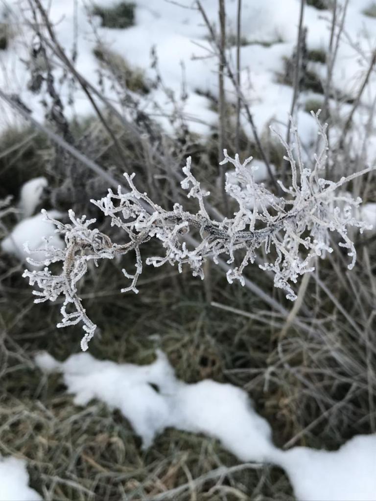 Ein Sonntag im Winter