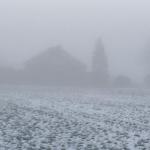 Nebel