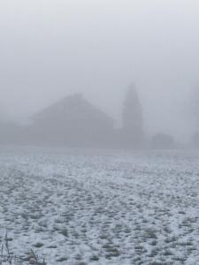 Nebel