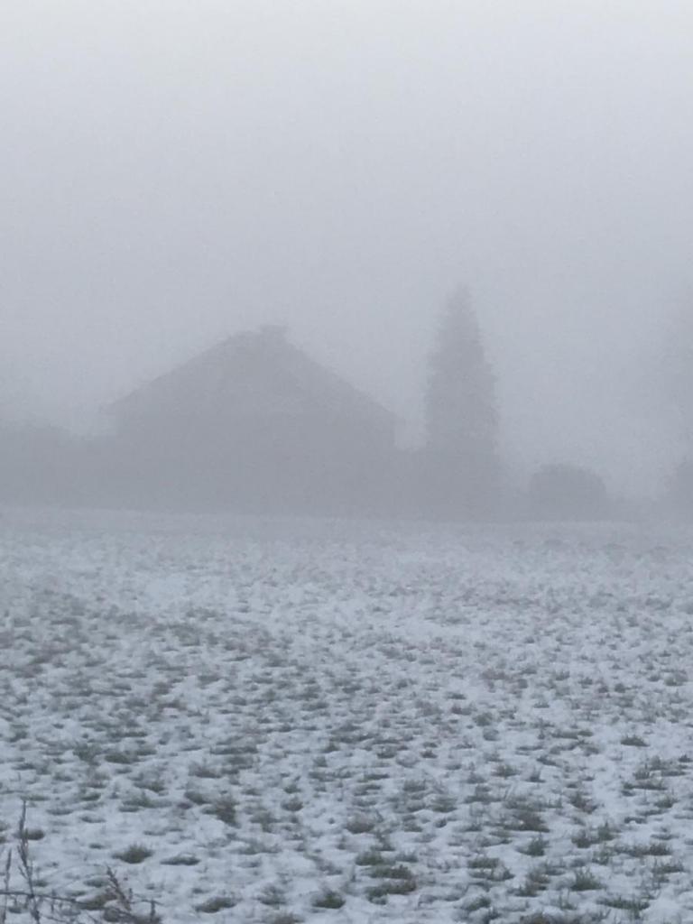 Nebel