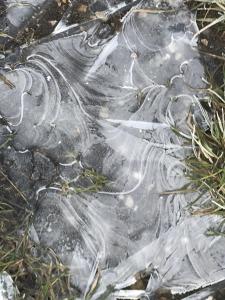 Eis