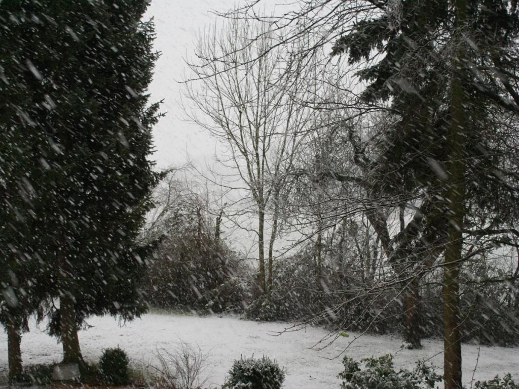 Winterlich!