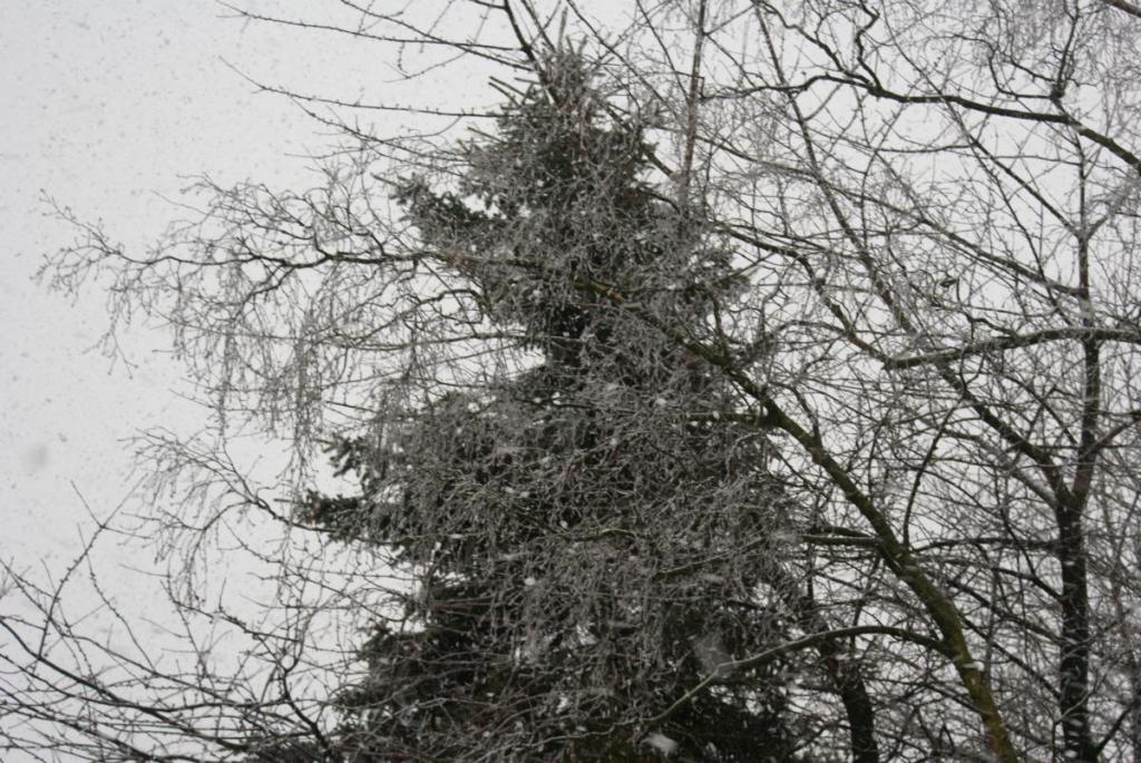 Der Schnee ist da!