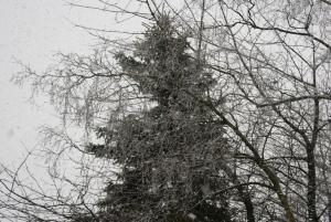 Der Schnee ist da!