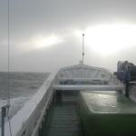 Tadday, 2016: Börteboot III