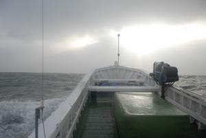 Tadday, 2016: Börteboot III