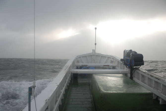 Tadday, 2016: Börteboot III