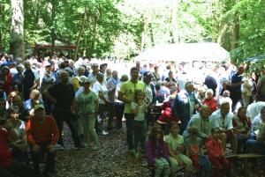 Richtig was los im Wald!