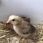 Mit 13 Tagen schon sehr neugierig