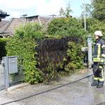 Bönningstedt: Heckenbrand in der Ahornstraße