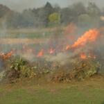 Brauchtumsfeuer wie Biikebrennen, Osterfeuer oder das private Lagerfeuer bleiben erlaubt.