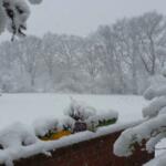 Winter im Norden