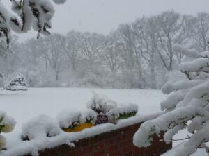 Winter im Norden