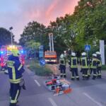 Ellerbek: Eiche stark beschädigt